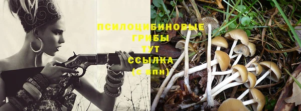 ALPHA-PVP Медногорск