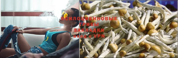 марки nbome Медвежьегорск