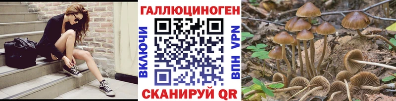 где можно купить   Хвалынск  Псилоцибиновые грибы MAGIC MUSHROOMS 